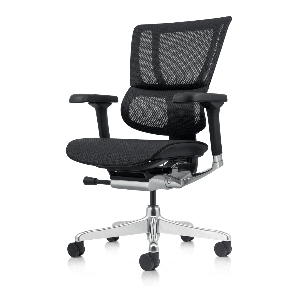 ERGOHUMAN Xtreme Mid Back