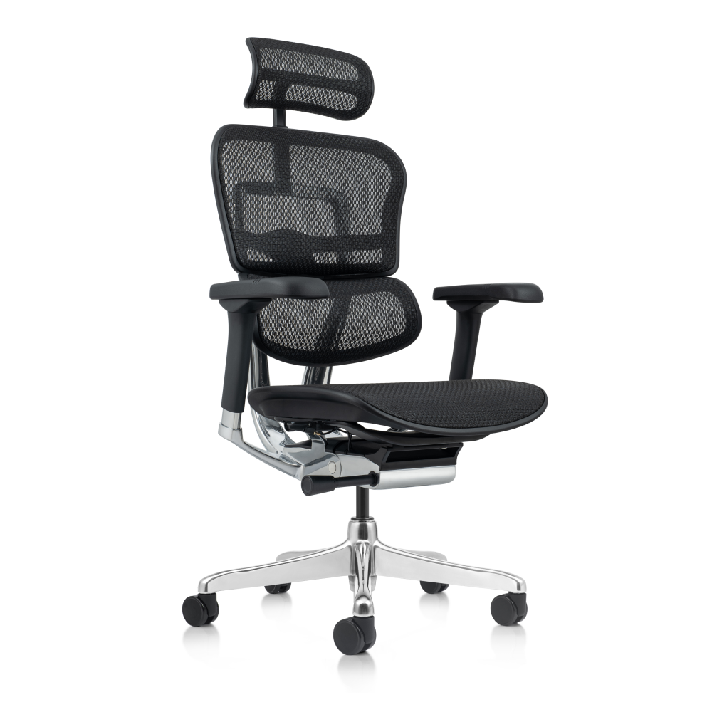 ERGOHUMAN™ Back GEN 2 Mesh Chair