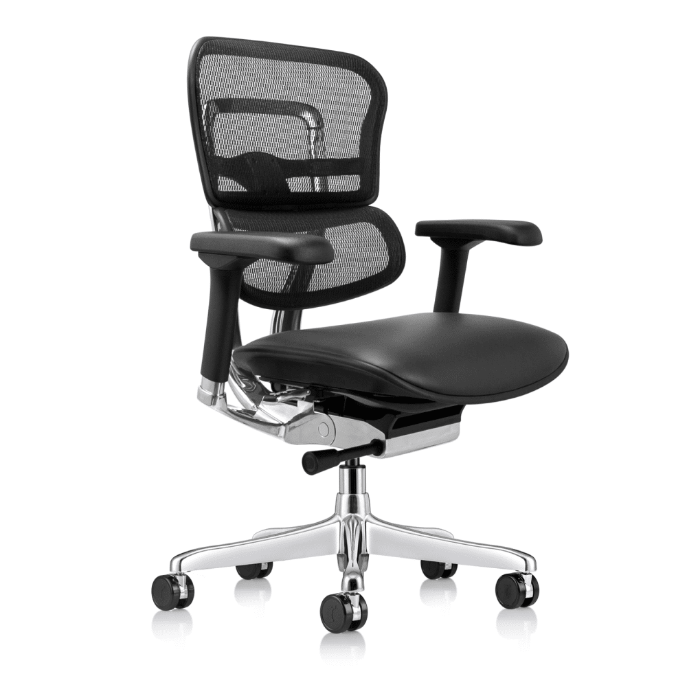 ERGOHUMAN™ Mid Back Leather Seat Mesh Back Chair